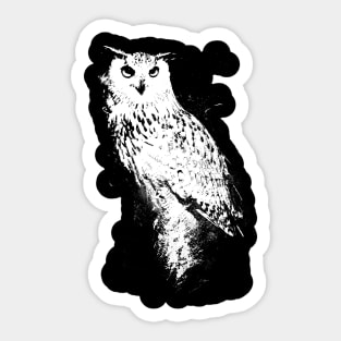 Nocturnal Wisdom Sticker